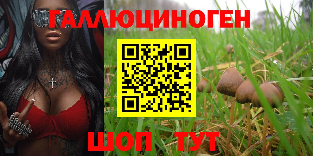 Галлюциногенные грибы Psilocybine cubensis  Вход с VPN  Чайковский 