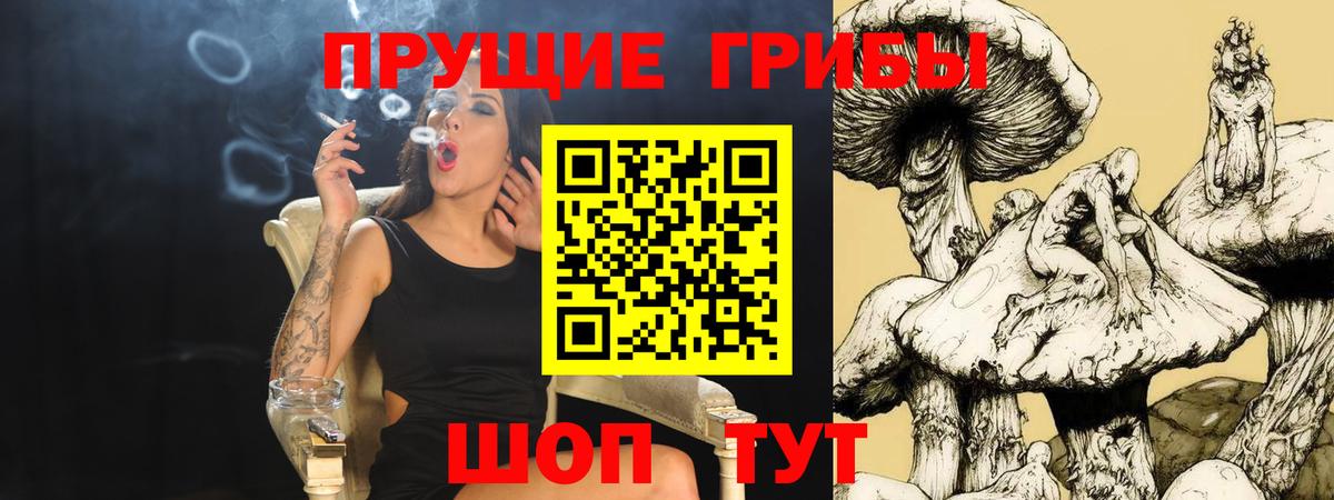 Галлюциногенные грибы Cubensis Чайковский